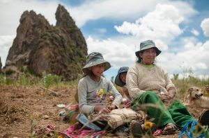 Mujeres rurales construirán políticas públicas en Quindío item-thumbnail