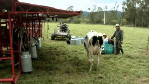 Boyacá, lanza programa verde para combatir cambio climático item-thumbnail
