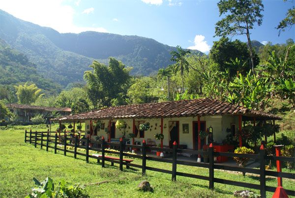 ¿Cómo va la restitución de tierras en Antioquia? item-thumbnail