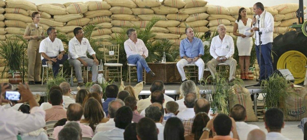 Planta de arroz