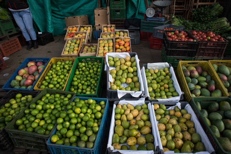 precios de alimentos siguen a la baja
