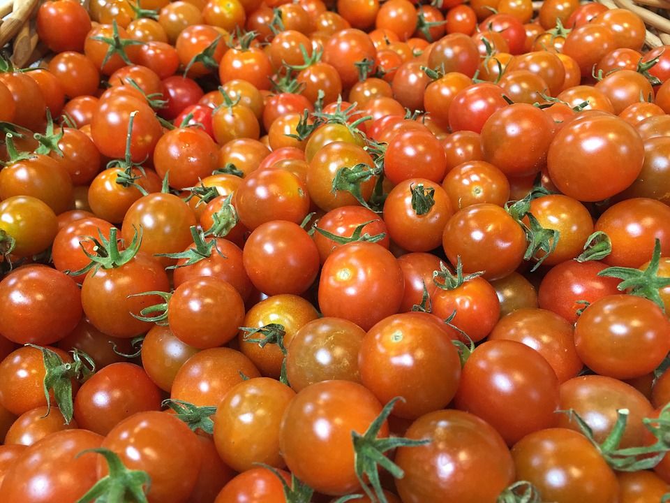 tomates cherry