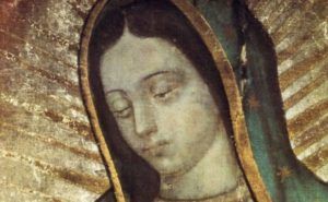 La Virgen de Guadalupe será recordada en el Vaticano item-thumbnail
