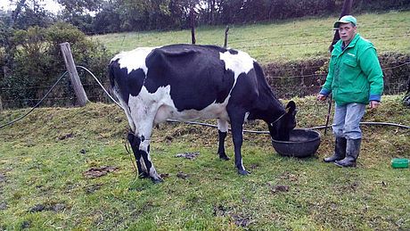 Producción lechera de Guatavita. Foto: Agencia Nacional de Noticias U.N.