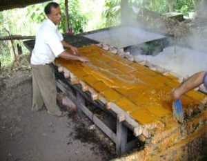 Fosca aprende y emprende, tierra de productores paneleros item-thumbnail