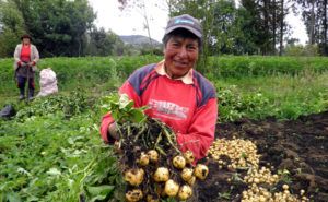 Colombia tiene recursos para mejorar su producción agrícola, FAO item-thumbnail