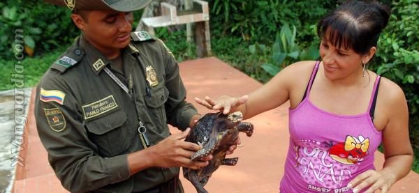 Animales Silvestres