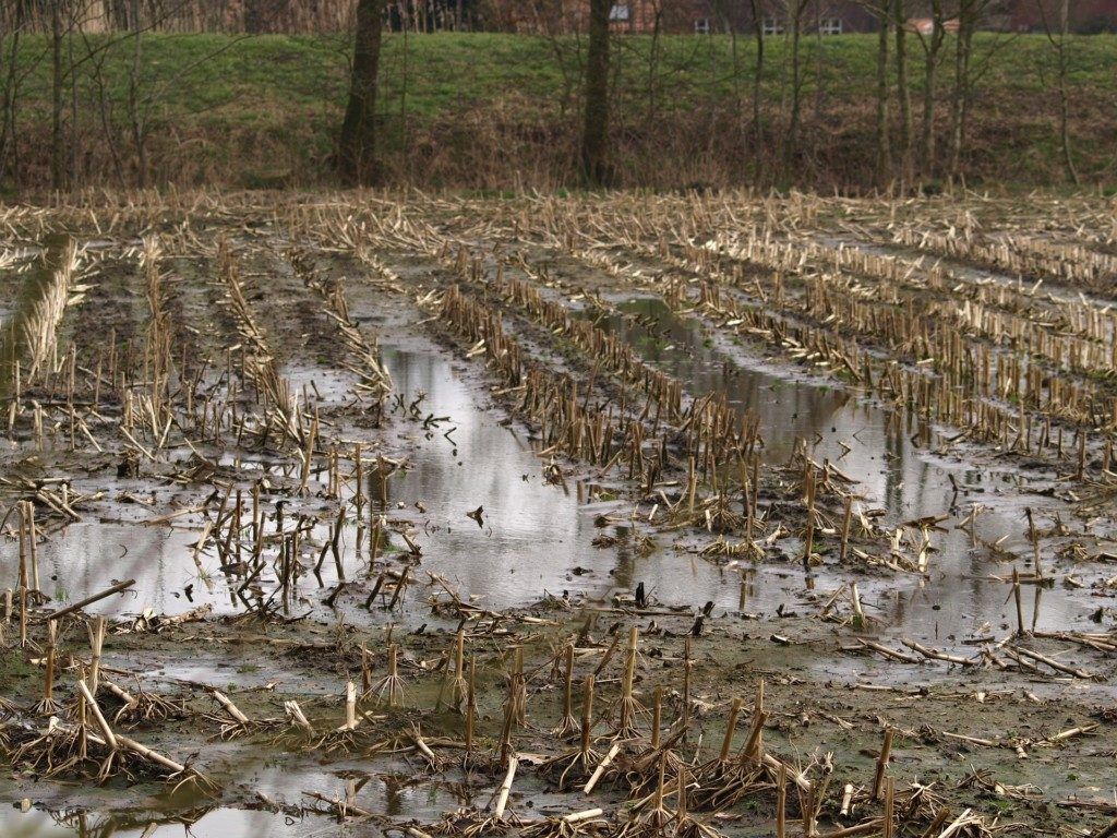 “Nos está acabando el río”, dice agricultor vallecaucano item-thumbnail