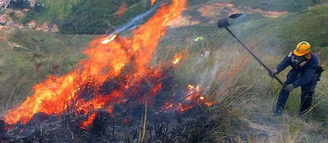 Incendios Forestales