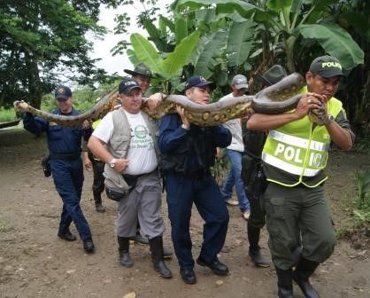 Vida Silvestre