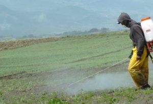 Protección y nutrición para cultivos con “CuidAgro” item-thumbnail