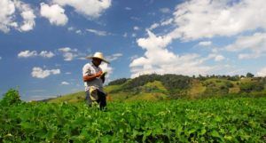 Feria agroclimática en Bogotá item-thumbnail