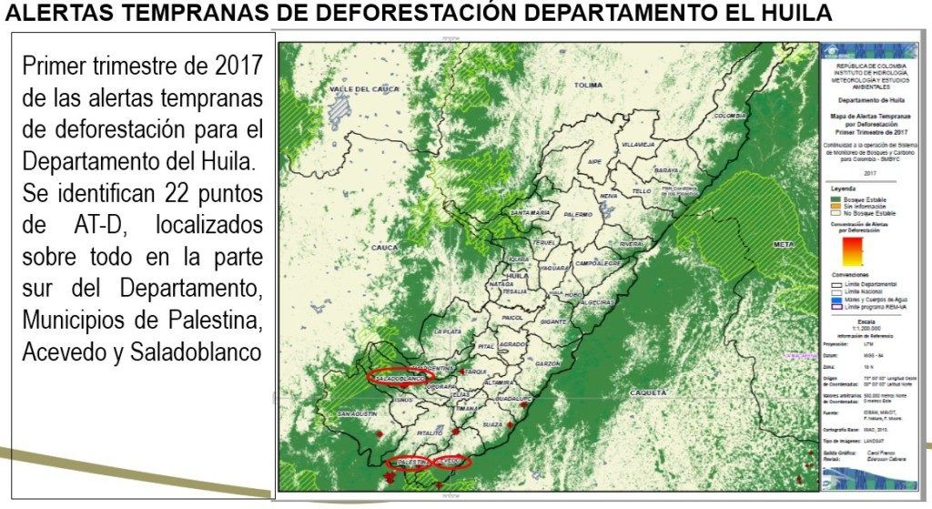 deforestación