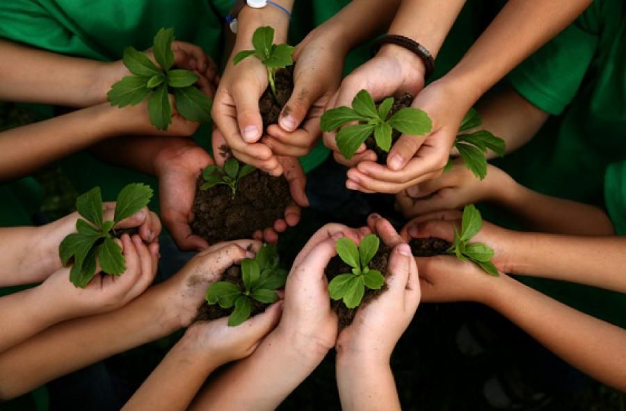 Medio ambiente