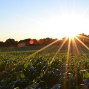 Radio Mundo Rural: futuro del agro y el proceso de paz item-thumbnail