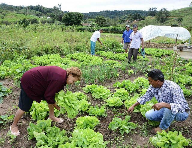 agroecológico