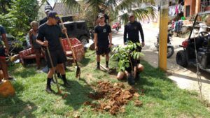 Por cada niño que nace en San Andrés, Coralina dona un árbol item-thumbnail