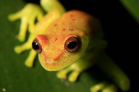 Biodiversidad