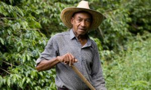 Mundo Rural: homenaje a campesinos y campesinas item-thumbnail