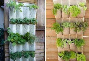 Huertos urbanos, una alternativa ecológica que ayuda a reducir el consumismo item-thumbnail