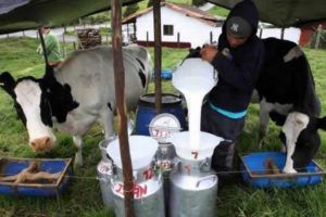 Radio Mundo Rural: precios de la leche, educación virtual y dejación de armas item-thumbnail