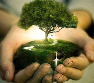 Con tecnología se espera afrontar el daño al medio ambiente en Colombia item-thumbnail