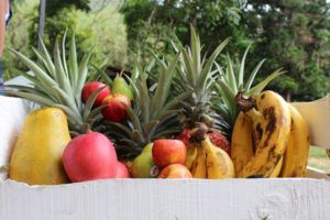 ¡Valle del Cauca, frutas por montones! item-thumbnail