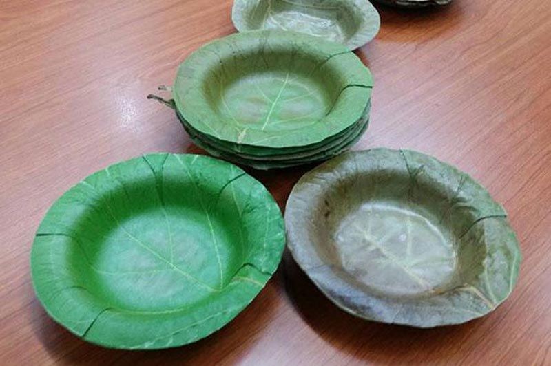 Hoja de plátano