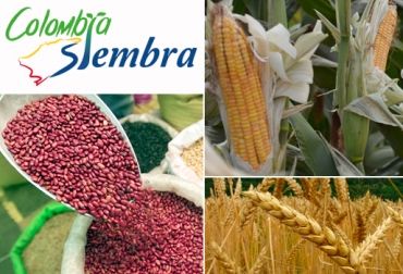 Colombia Siembra