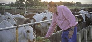 El ICA confirma la eliminación de la fiebre de aftosa en el país item-thumbnail