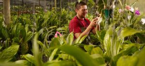 90 mil pequeños y medianos agroproductores reciben asistencia técnica item-thumbnail