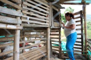 Así son los campesinos del Valle del Cauca item-thumbnail