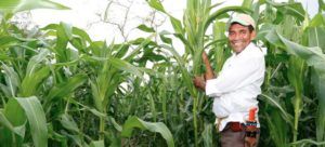 Tasa de desempleo en el campo es la más baja de los últimos 10 años: DANE item-thumbnail