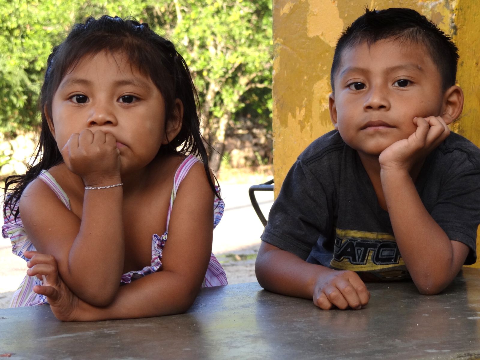 Indígenas corren riesgo de perder su lengua Lenguas de culturas indígenas están en peligro de extinción por la urbanización que han tenido muchas de estas comunidades.