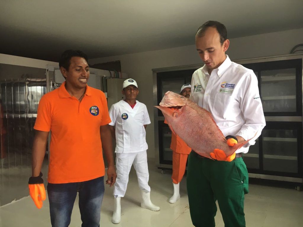 Invernaderos en La Guajira