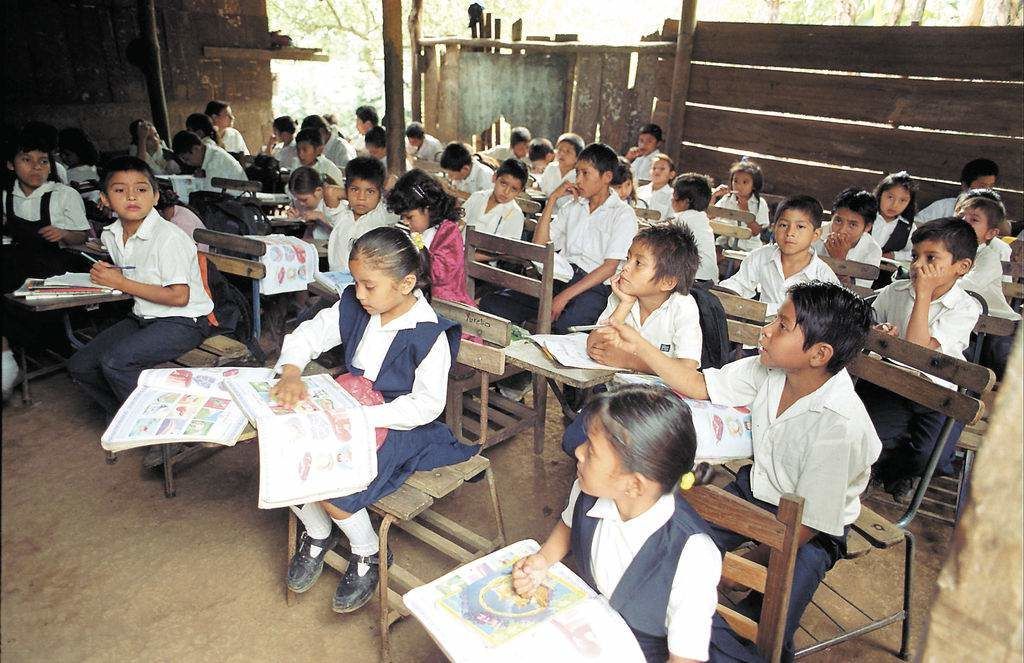 Educadores