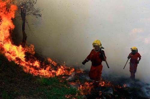 Ola de calor