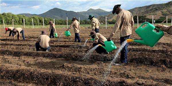 Actividad agropecuaria