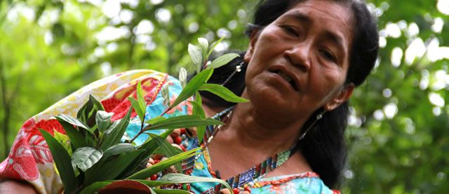 Mujer rural