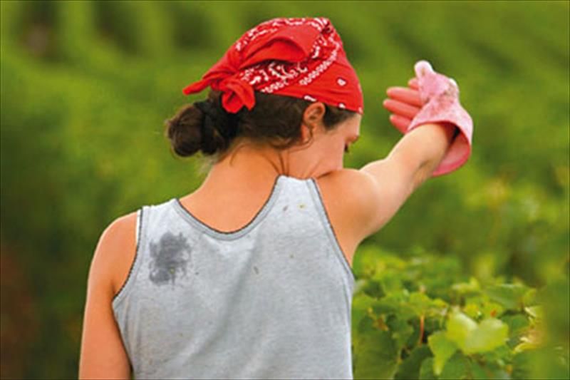 Mujer rural