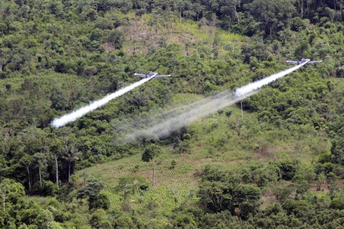 COLOMBIA-COCA