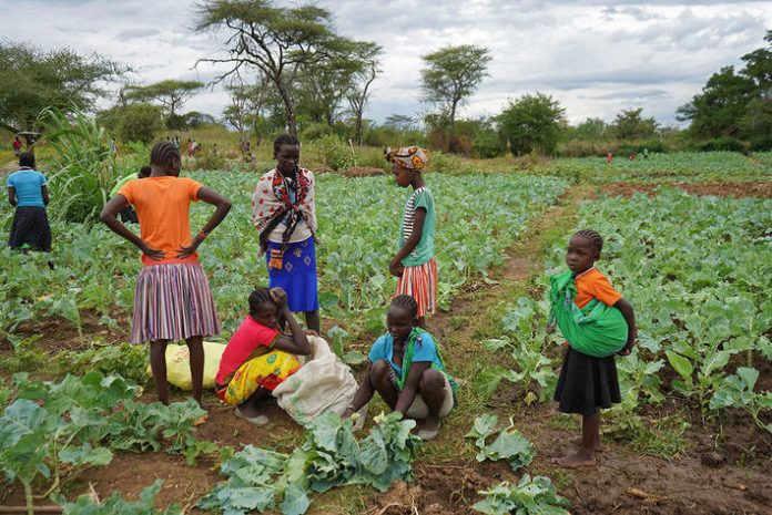Un plan de choque para garantizar el suministro global de alimentos