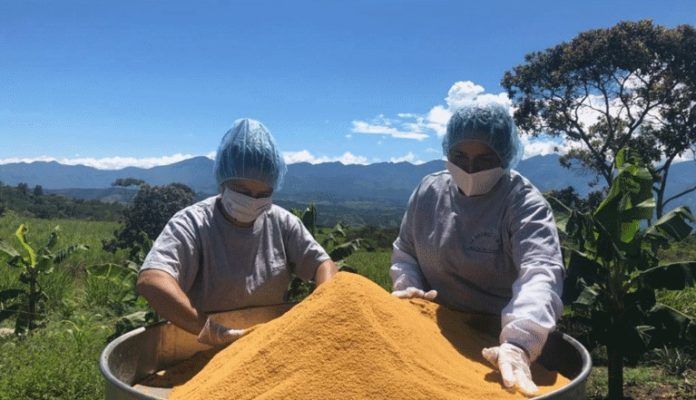 Empresa La Gloria Corp.