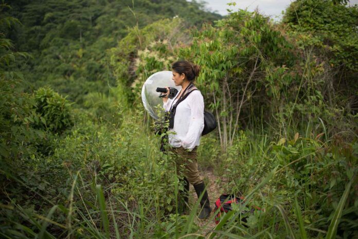 Señales ecoacústicas constituirían una alternativa para conservar bosques